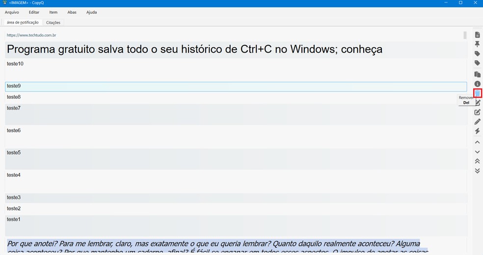  Reprodução/Caroline Silvestre