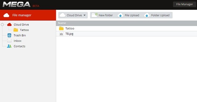 Mega: saiba como utilizar o novo 'Megaupload'
