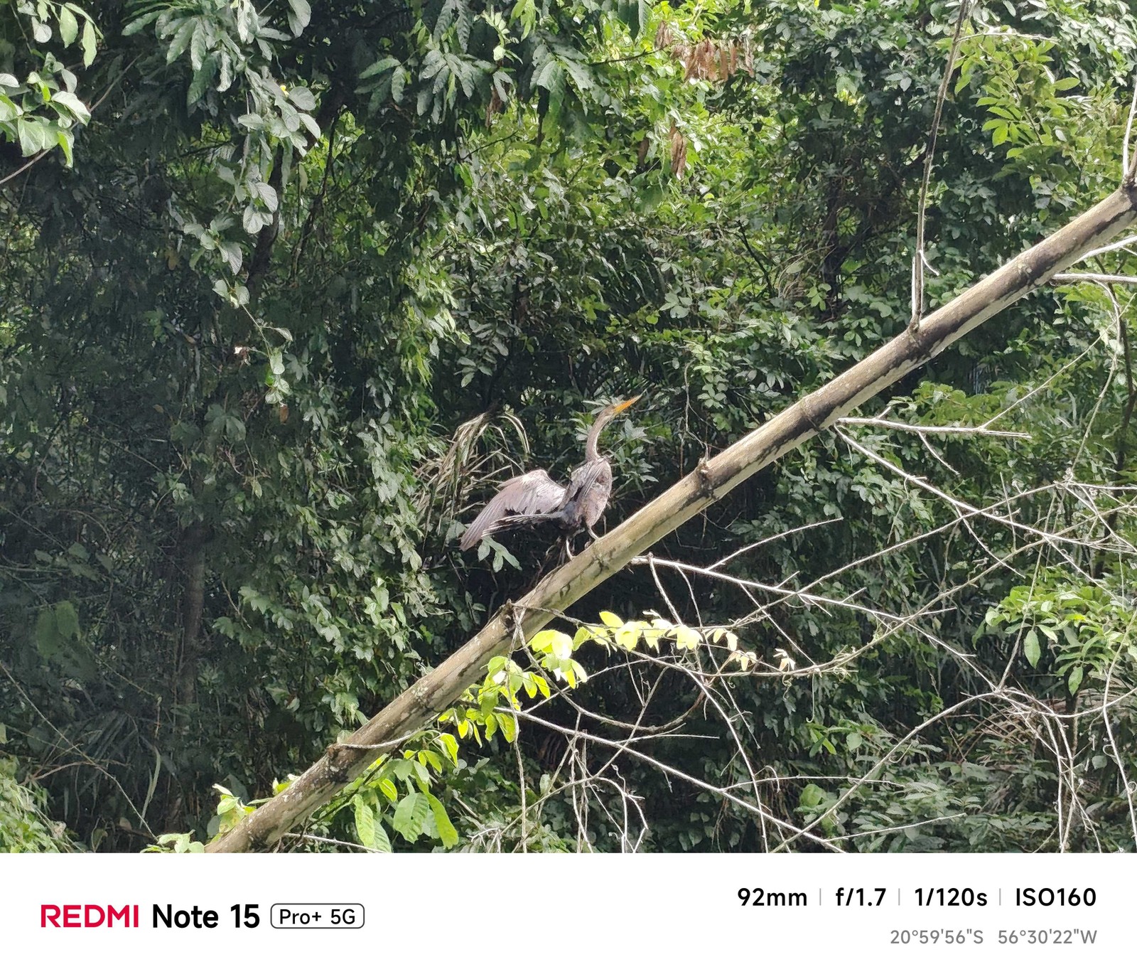  Gisele Barros/TechTudo