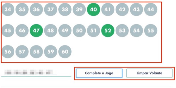 Mega da Virada 2019 como fazer um jogo na loteria pelo computador