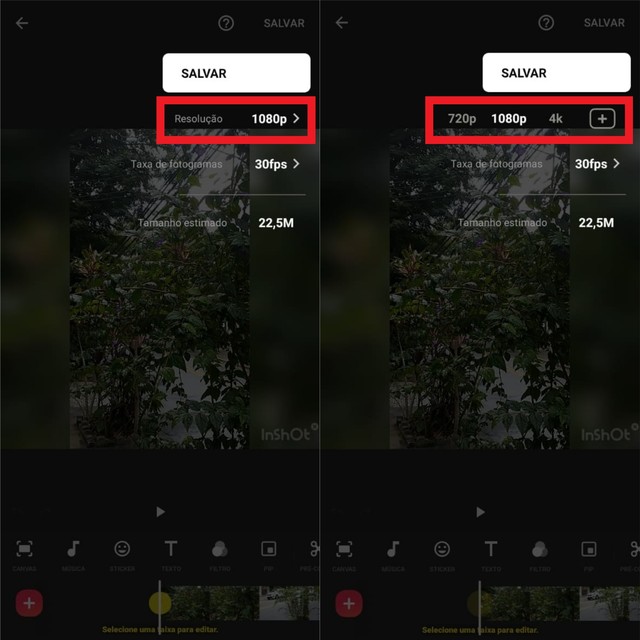 Como postar Status no WhatsApp com qualidade? 4 dicas para vídeos e fotos