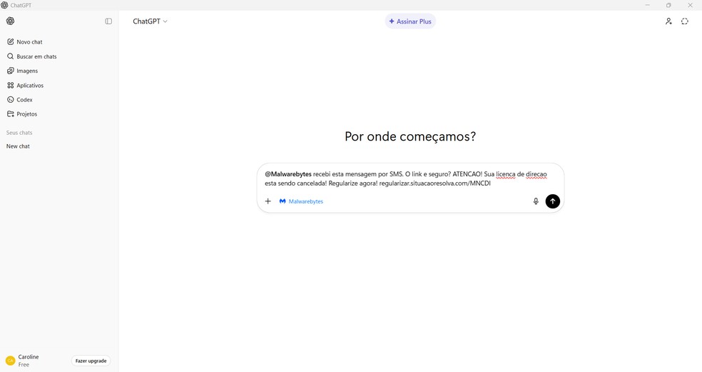  Reprodução/Caroline Silvestre