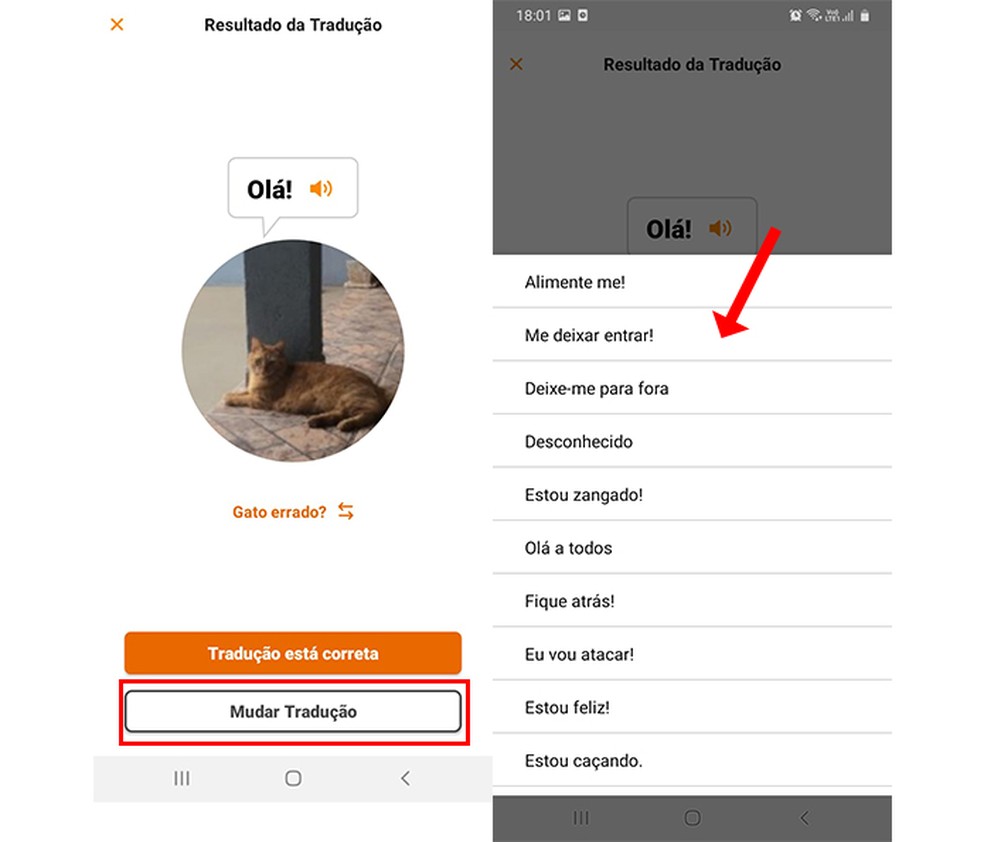 Tradutor para gatos – Apps no Google Play