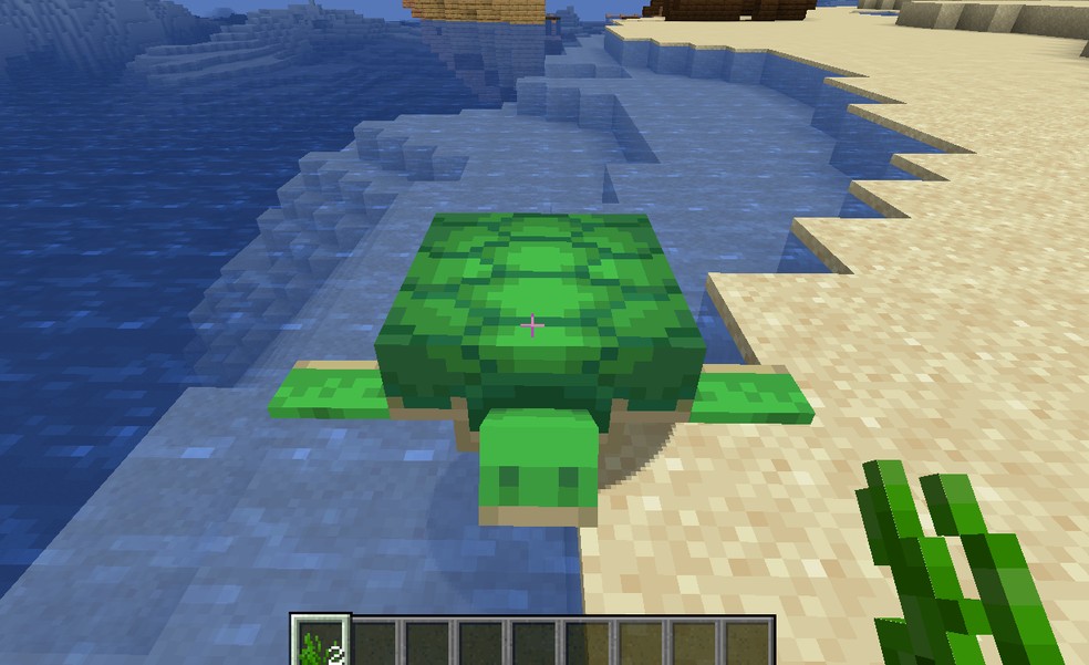 Alimente a tartaruga com erva marinha no Minecraft — Foto: Reprodução/Felipe Vinha