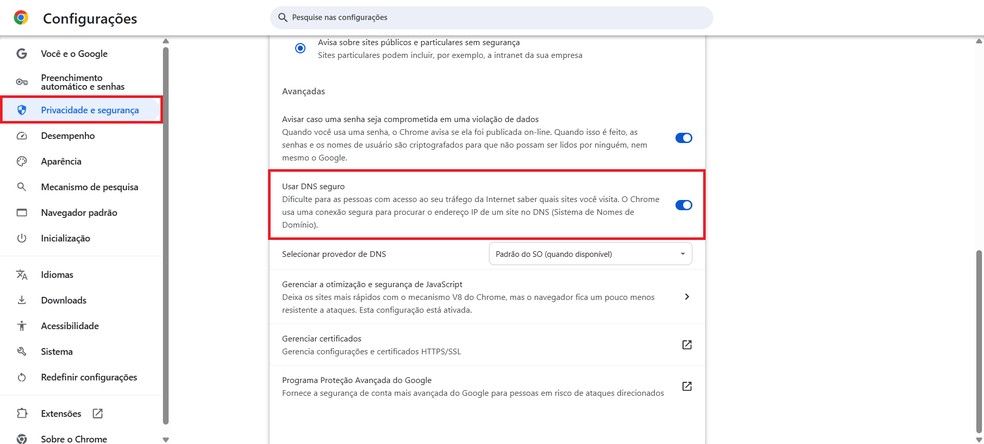 Reprodução/Caroline Silvestre