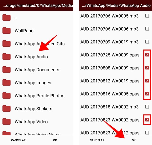 Áudio do WhatsApp: como abrir e converter .opus para .mp3