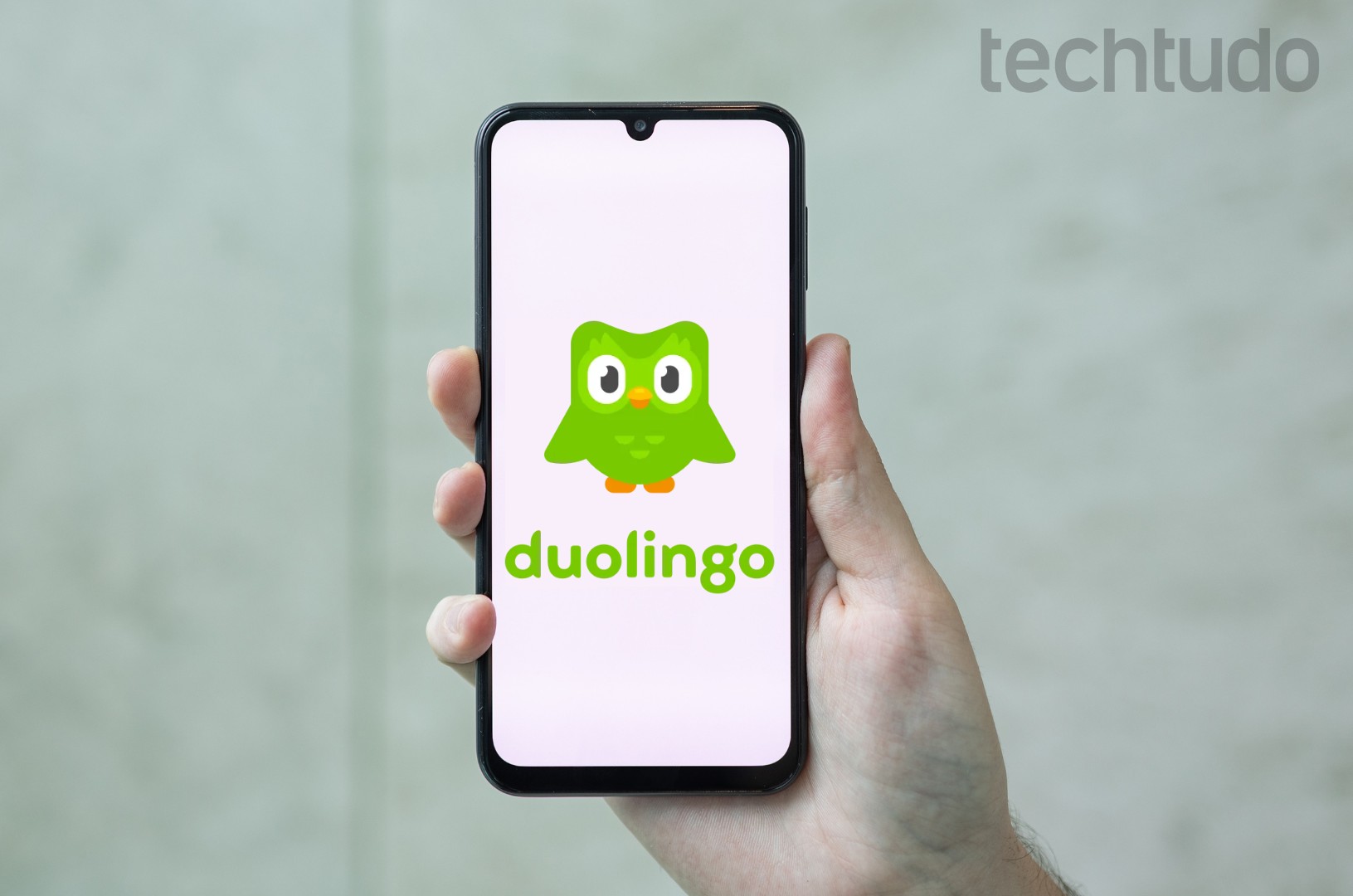 Português é a língua mais estudada no Duolingo; veja retrospectiva do app