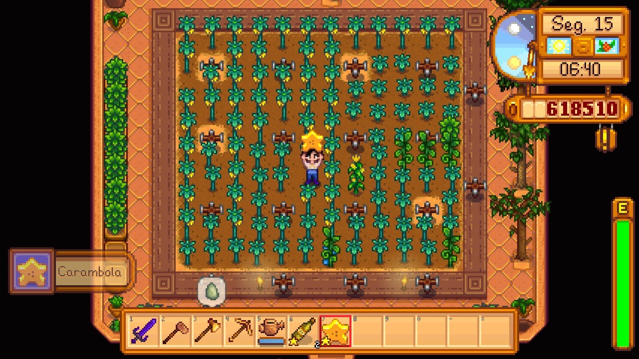 Estufa no Stardew Valley: veja como cuidar e manter a construção