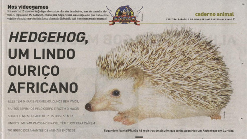 Shadow the Hedgehog Sonic o ouriço Vídeo game, ouriço, mamífero