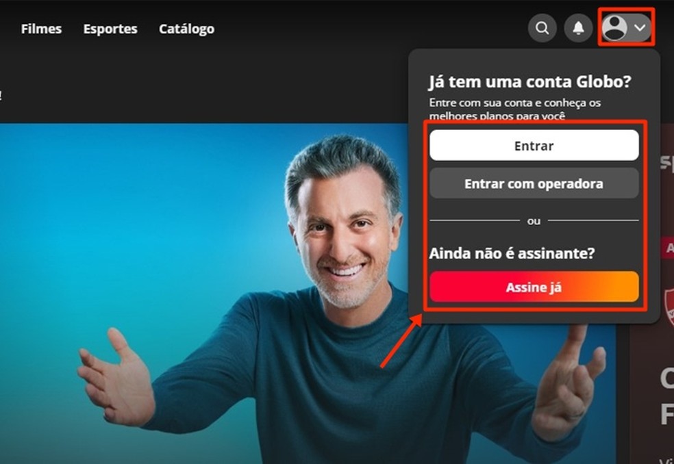 No Globoplay, público deve fazer login informando sua Conta Globo ou assinar um plano com o Premiere — Foto: Reprodução/Gabriela Andrade