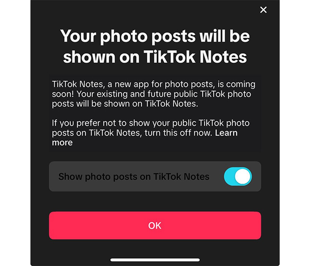 TikTok Notes: veja tudo sobre o possível novo rival do Instagram