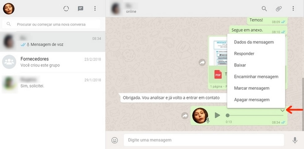 Opções de ações para mensagens no chat do WhatsApp Business pela web — Foto: Reprodução/Raquel Freire