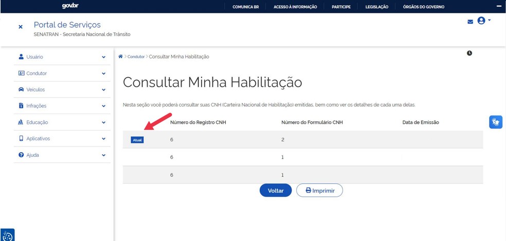 Selecione a CNH que deseja consultar — Foto: Reprodução/Juliana Villarinho