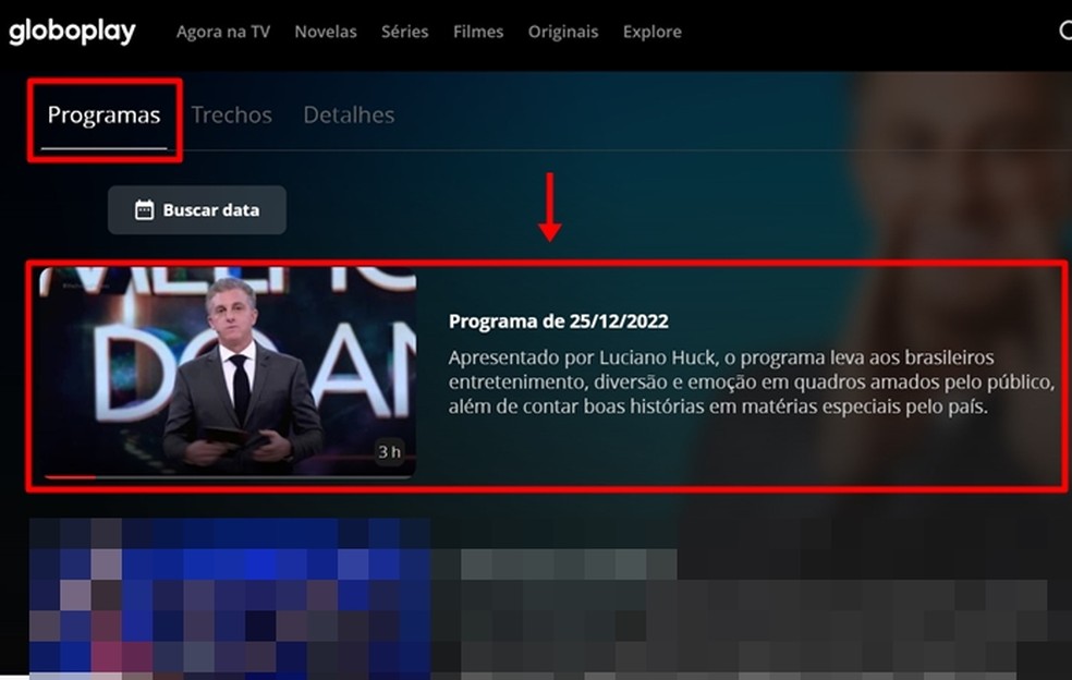 PRÊMIO COISAS DE TV: OS MELHORES DE 2022