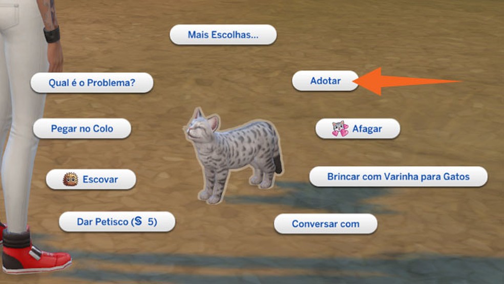Existe um jogo brasileiro feito por gatinhos que ensina sobre a  importância da adoção - Arkade