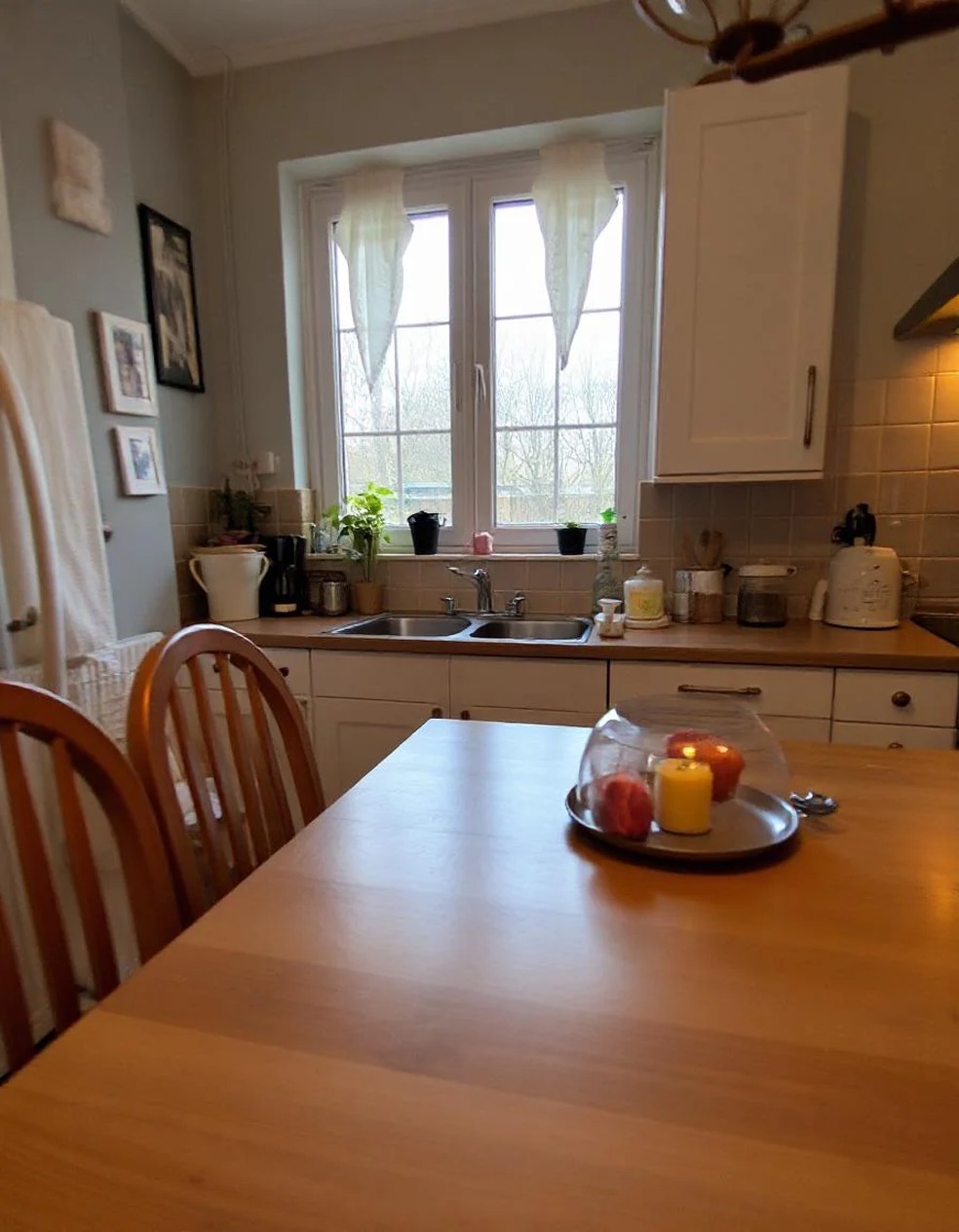  Reprodução/Reddit @‌nephlonorris