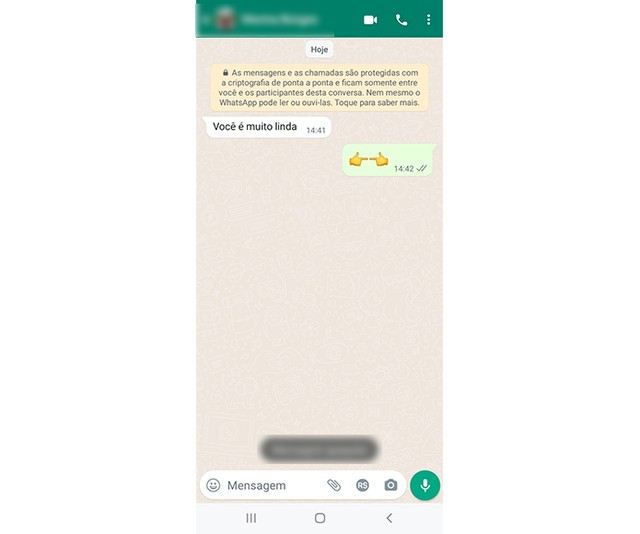 O que significa PDP no WhatsApp? Entenda 6 gírias muito usadas no app