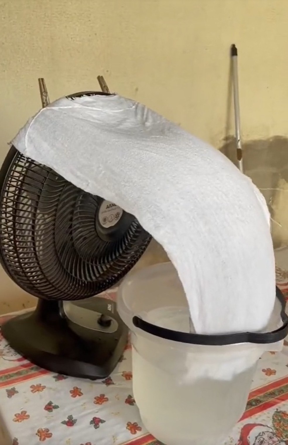  Reprodução/Redes Sociais