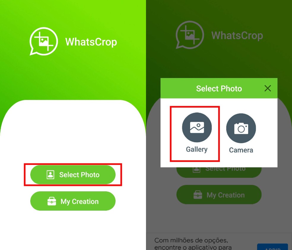 Fotos para perfil do WhatsApp: Onde encontrar e como mudar?