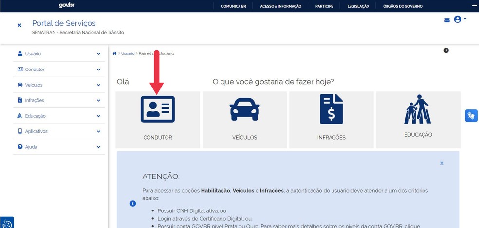 Clique em "Condutor" para acessar os dados da CNH — Foto: Reprodução/Juliana Villarinho