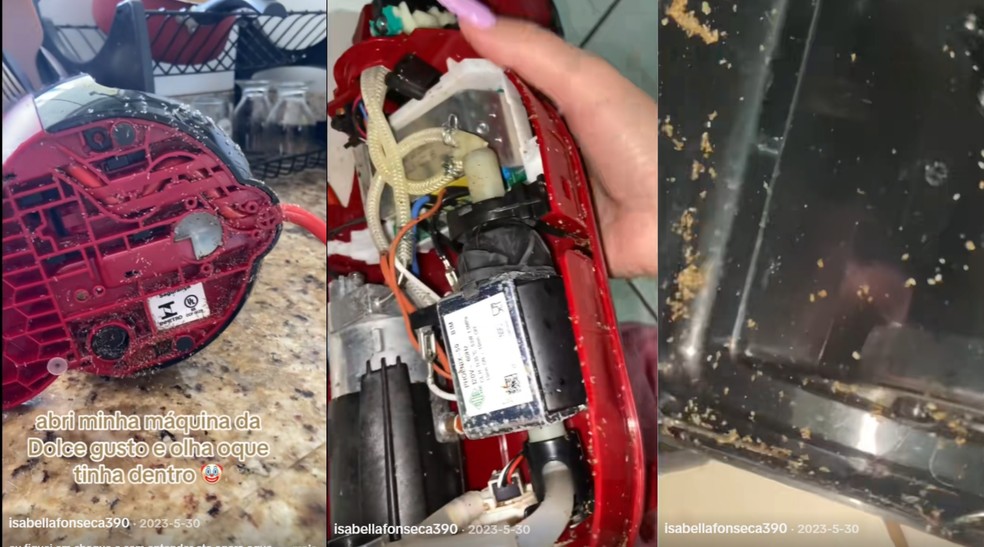  Reprodução/Redes Sociais