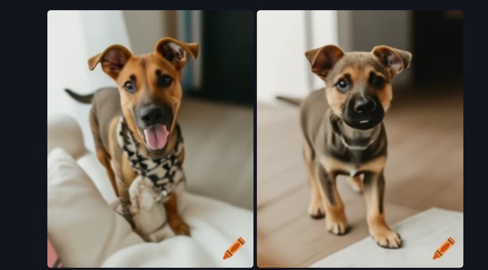  Reprodução/Thaisi Carvalho