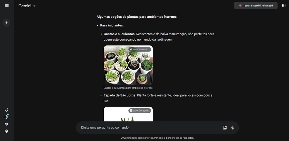 Gemini consegue ilustrar as respostas com imagens da internet — Foto: Reprodução/Gemini