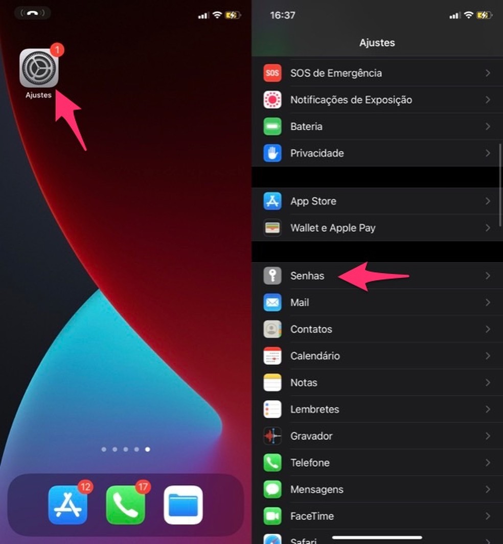 Ação para visualizar as opções da ferramenta de senhas do iPhone — Foto: Reprodução/Marvin Costa