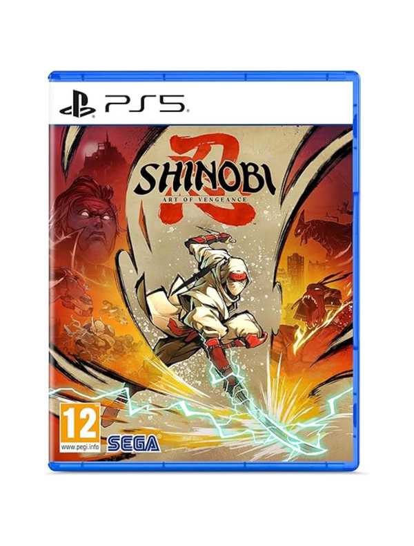  Art of Vengeance (Playstation 5)