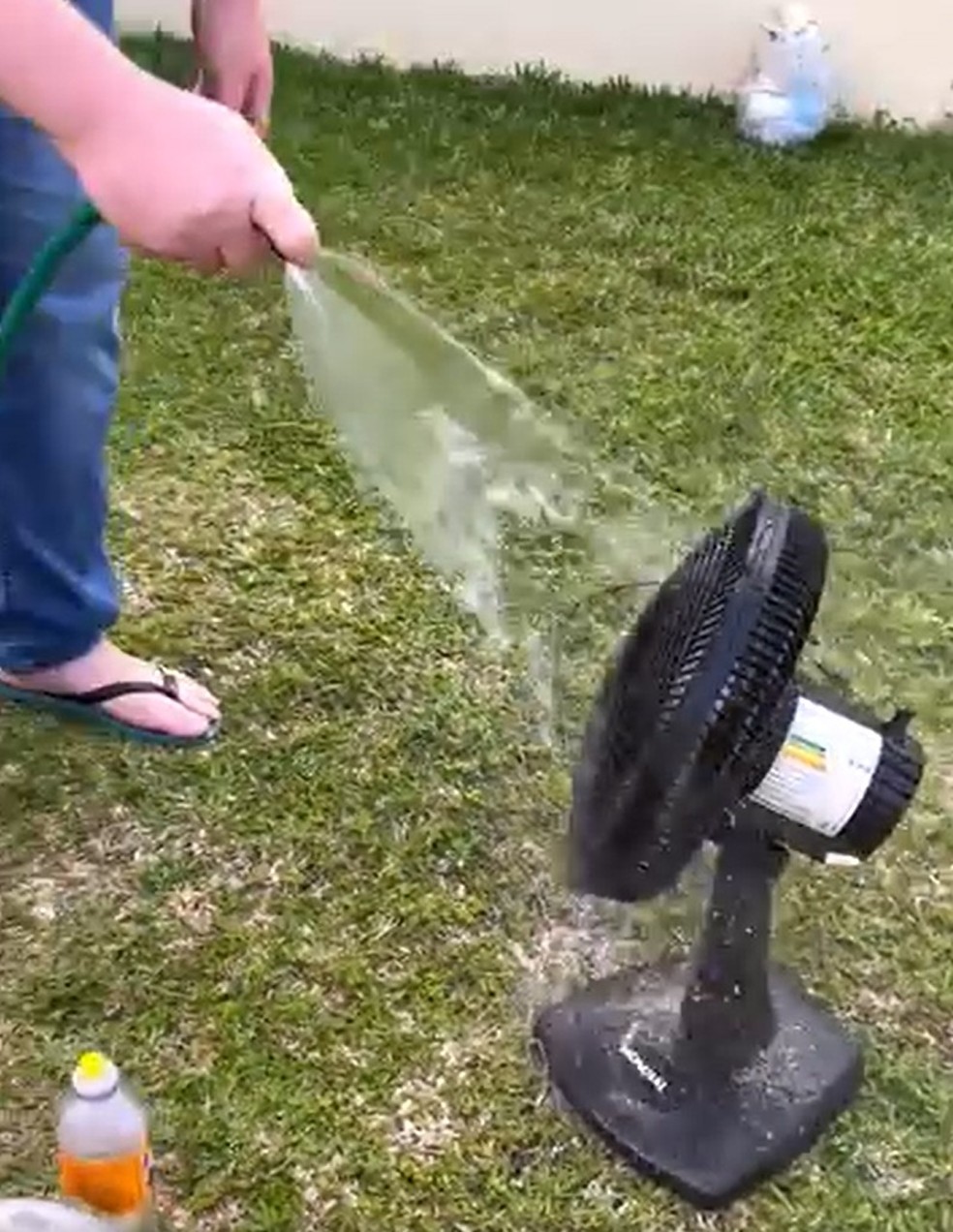  Reprodução/Redes Sociais