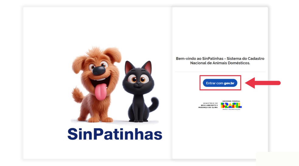 Acesse o site do SinPatinhas e entre com uma conta Gov.br — Foto: Reprodução/Júlia Silveira