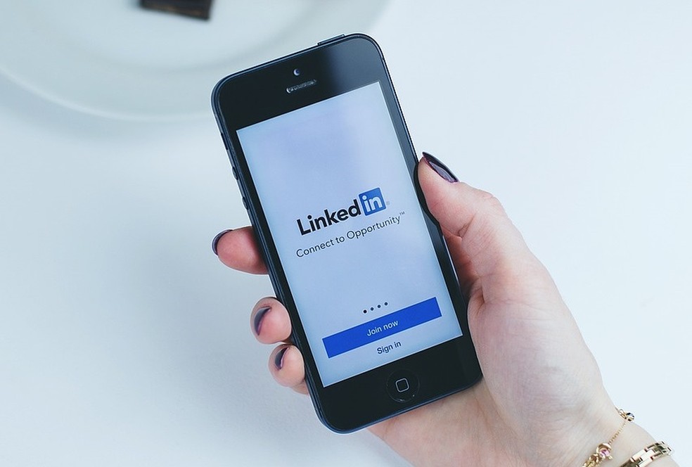  Reprodução/Pixabay (StockSnap)