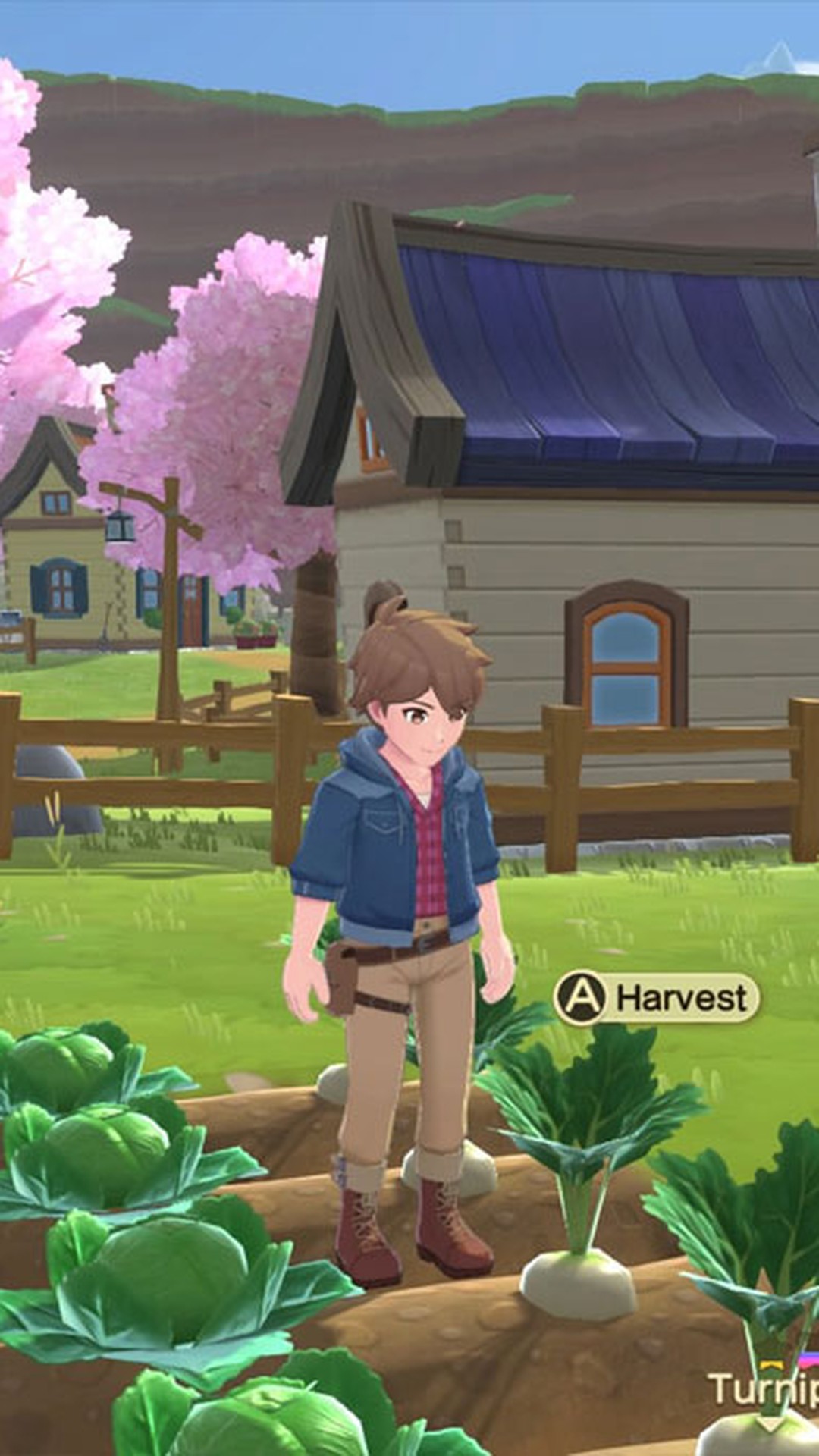 Harvest Moon The Winds of Anthos: veja gameplay e requisitos do simulador