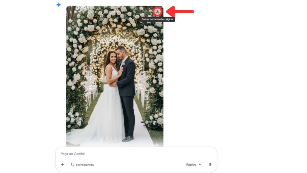  Reprodução/Débora Apolinario