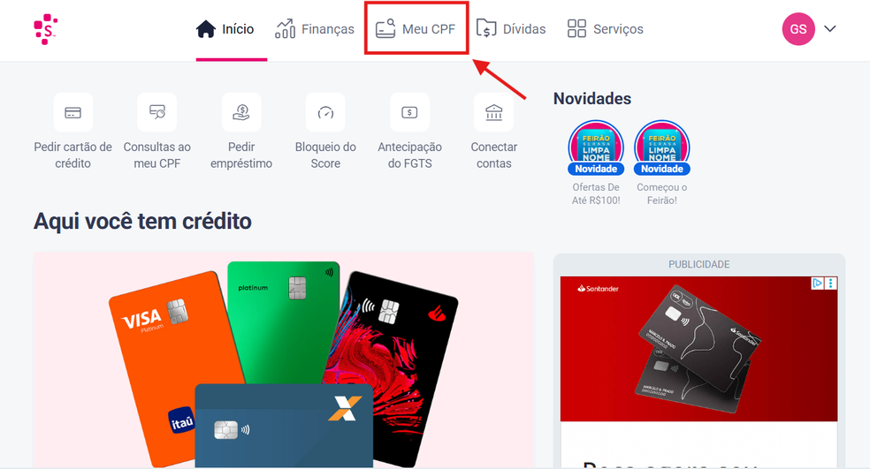 Consulte o CPF pelo Serasa — Foto: Reprodução/Gisele Veríssimo