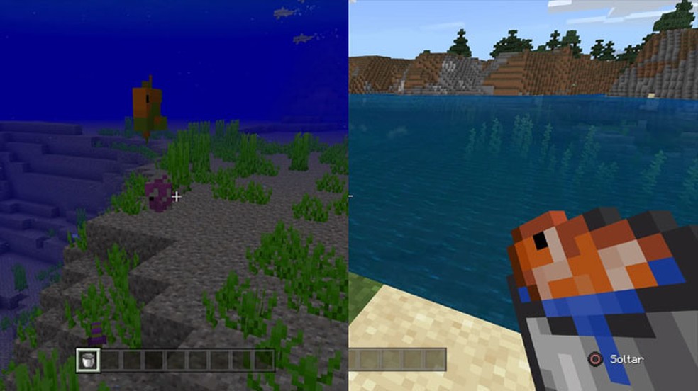 Obtenha um balde com peixe tropical em Minecraft nos biomas de oceano — Foto: Reprodução/Rafael Monteiro