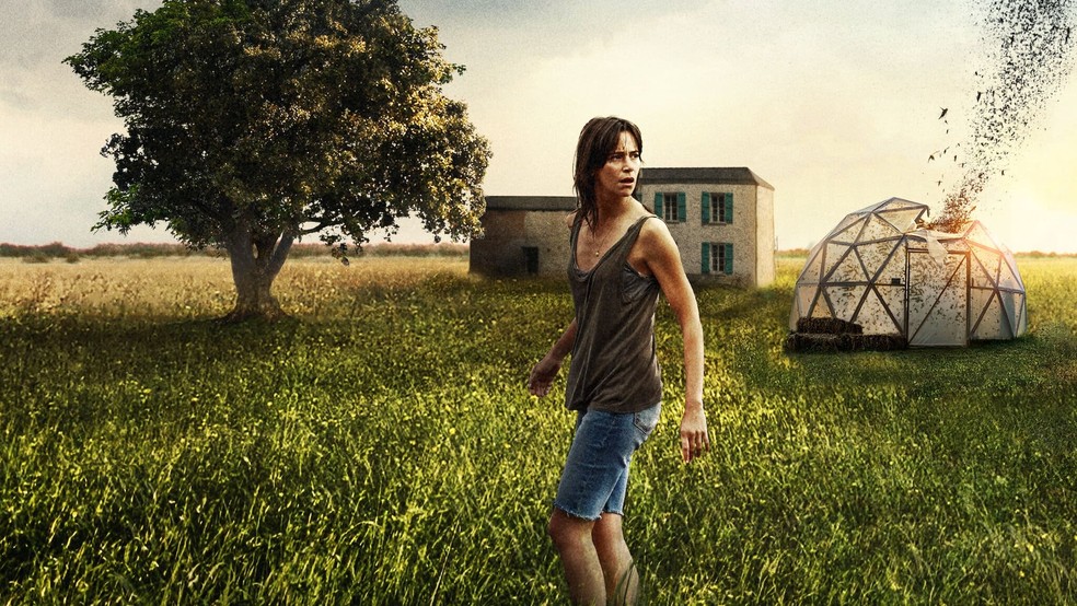  Reprodução/The Movie Database