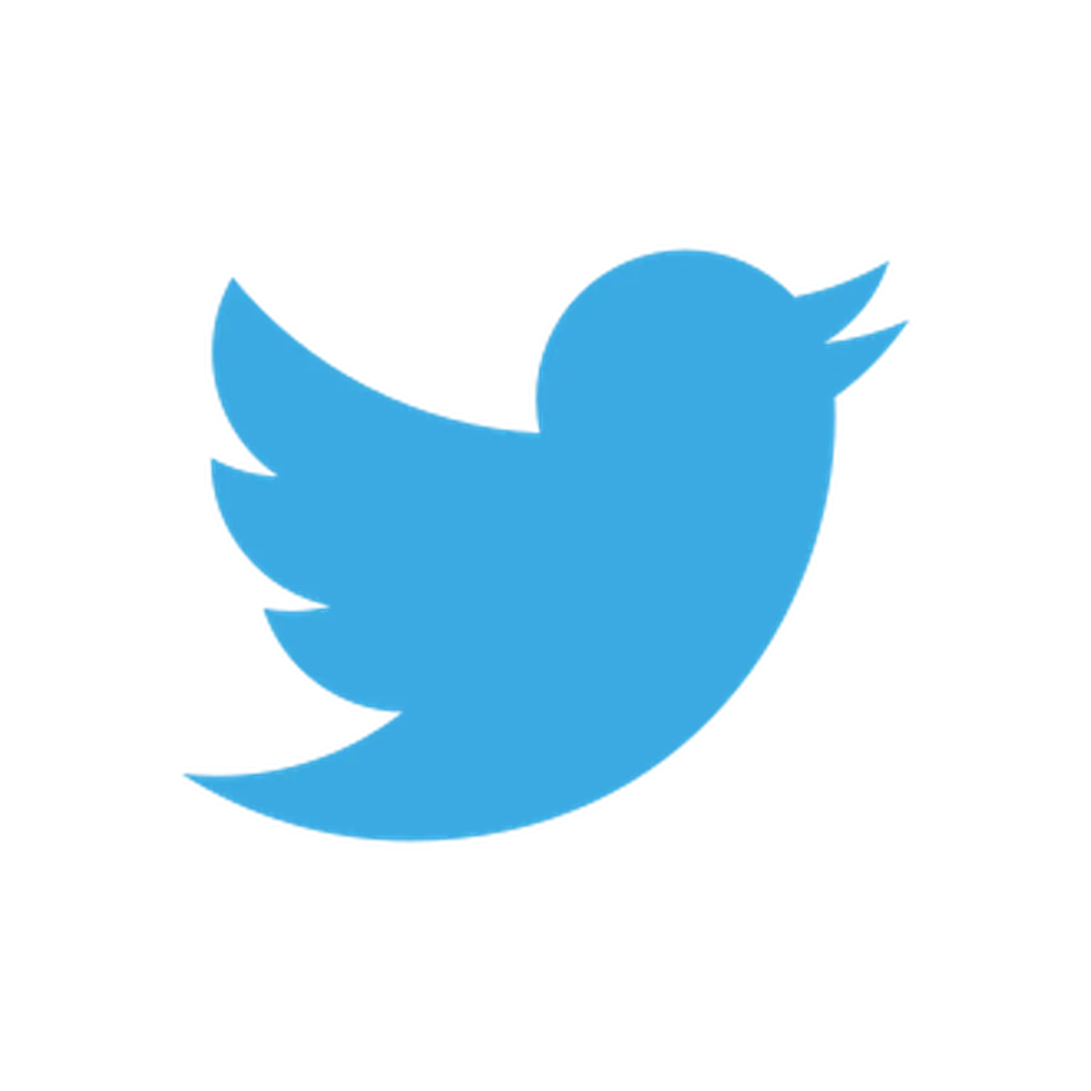 O antigo pássaro azul do Twitter tinha nome: Larry, em homenagem ao jogador de basquete Larry Bird — Foto: Reprodução/Wikimedia Commons