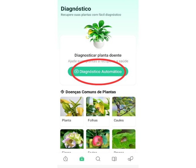 Plant Parent app ajuda a cuidar das suas plantas; veja