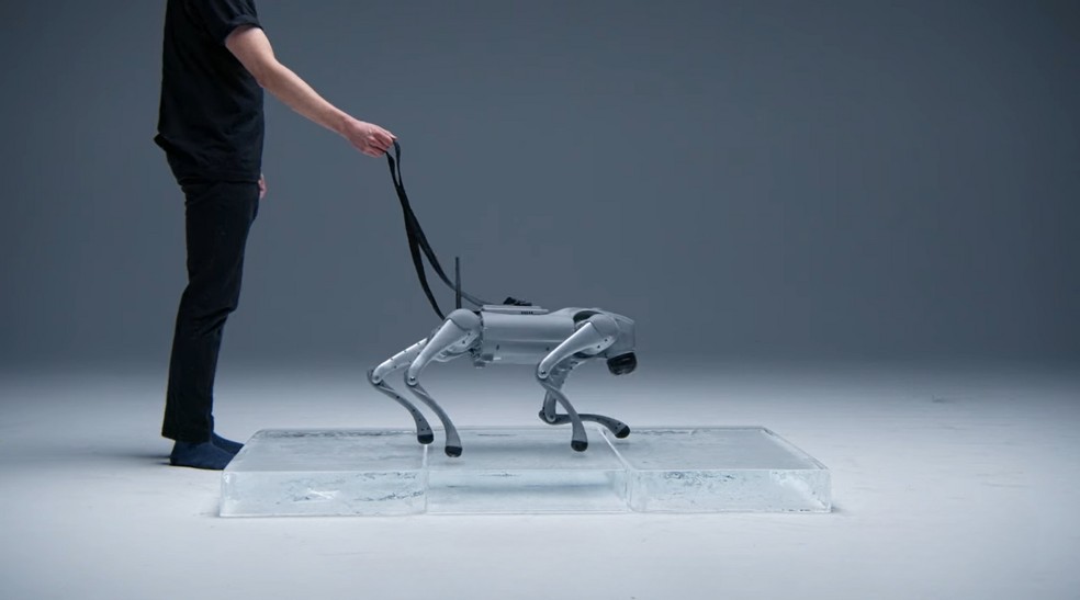  Reprodução/YouTube