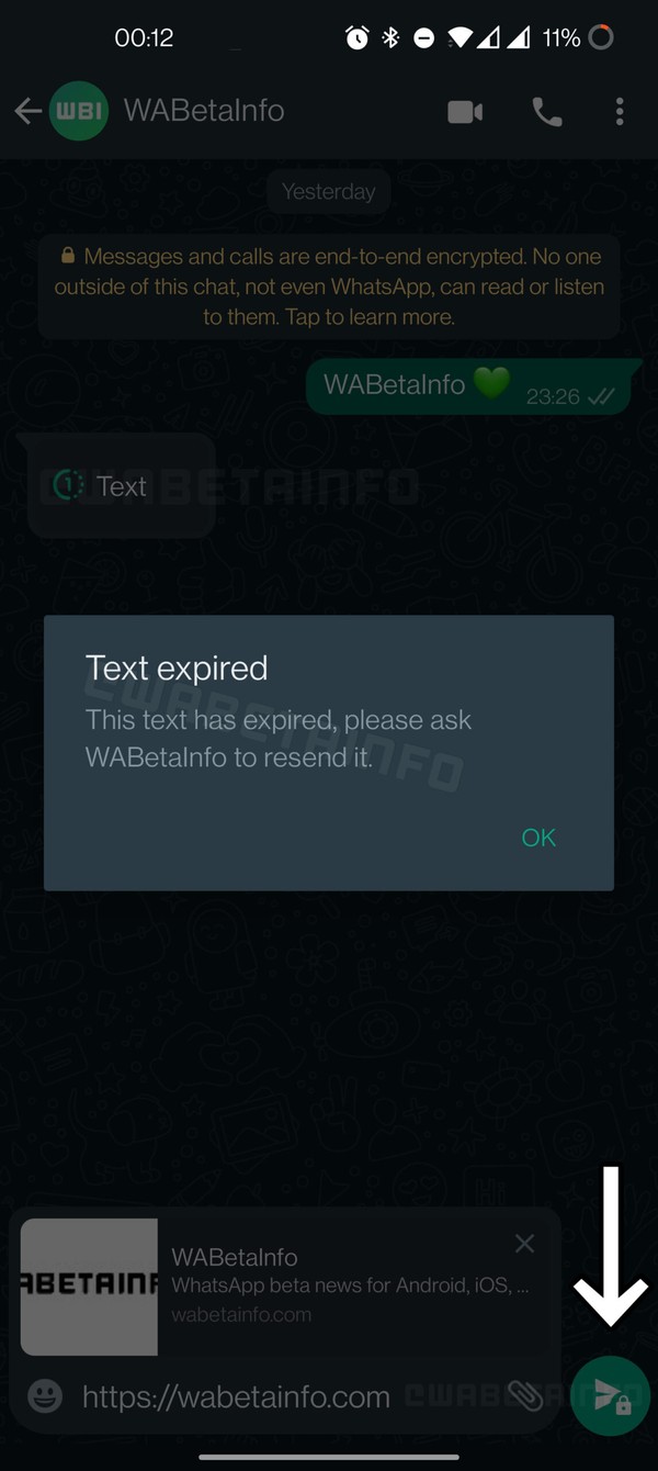 WhatsApp testa função para envio de mensagens temporárias; entenda