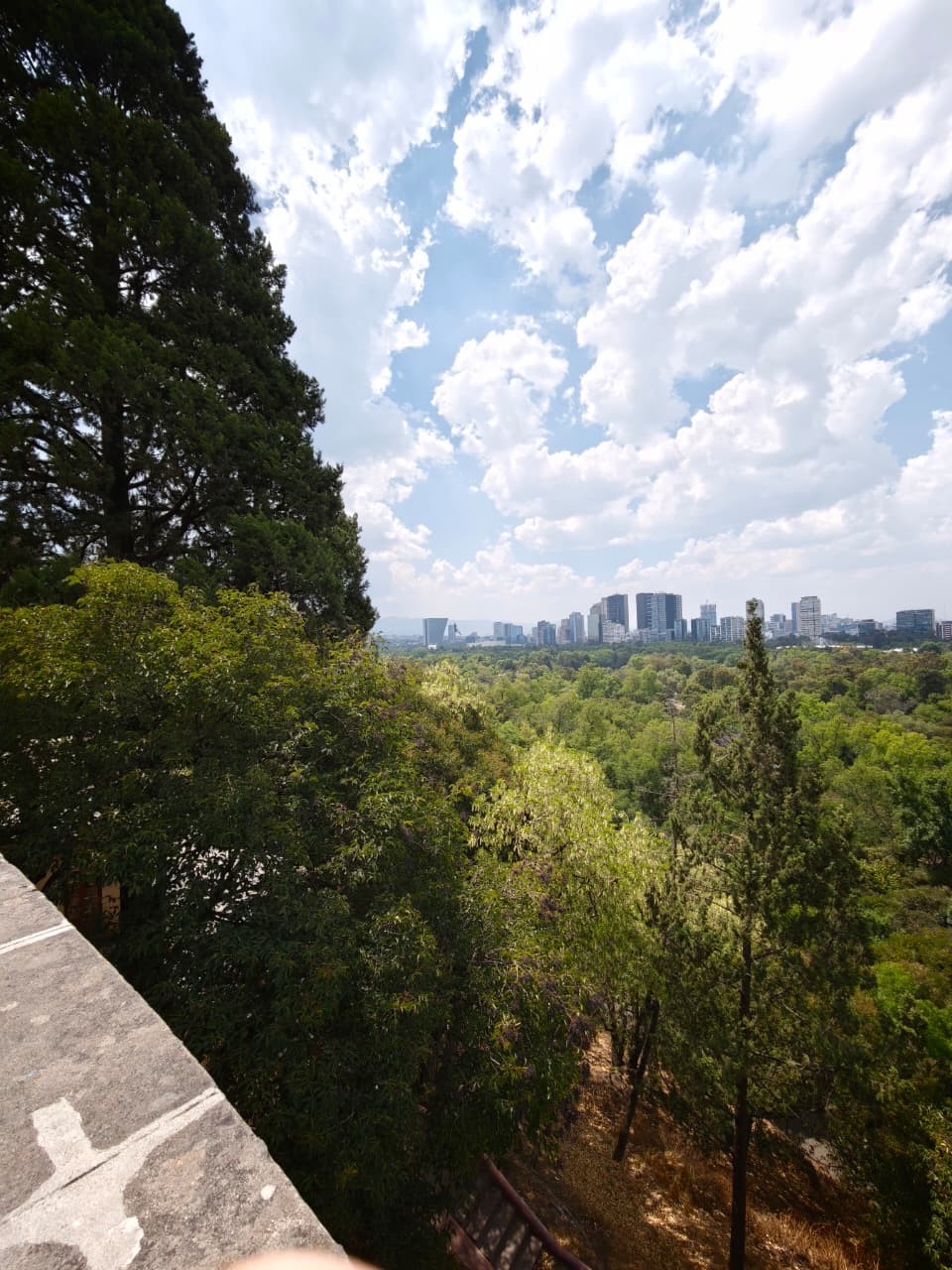  Aline Barbieri/TechTudo