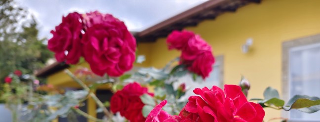  Ana Letícia Loubak/TechTudo