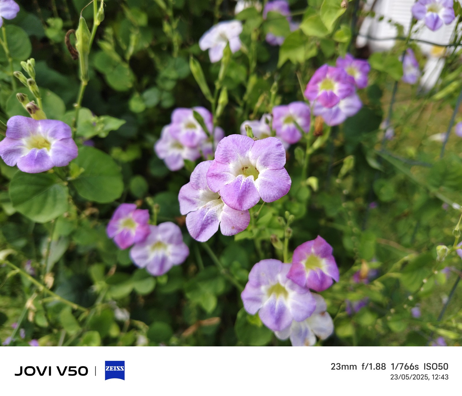  Ana Letícia Loubak/TechTudo