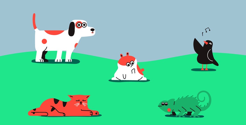 Spotify for Pets como criar playlist com música para seu cachorro