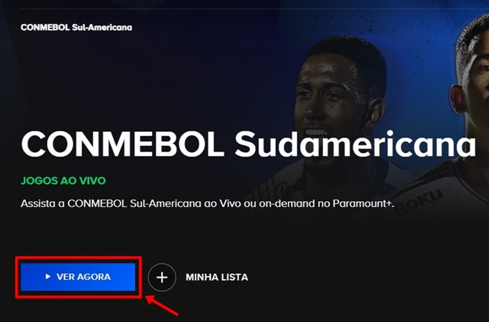 Defensa y Justicia x Botafogo ao vivo: onde assistir ao jogo da Sul ...