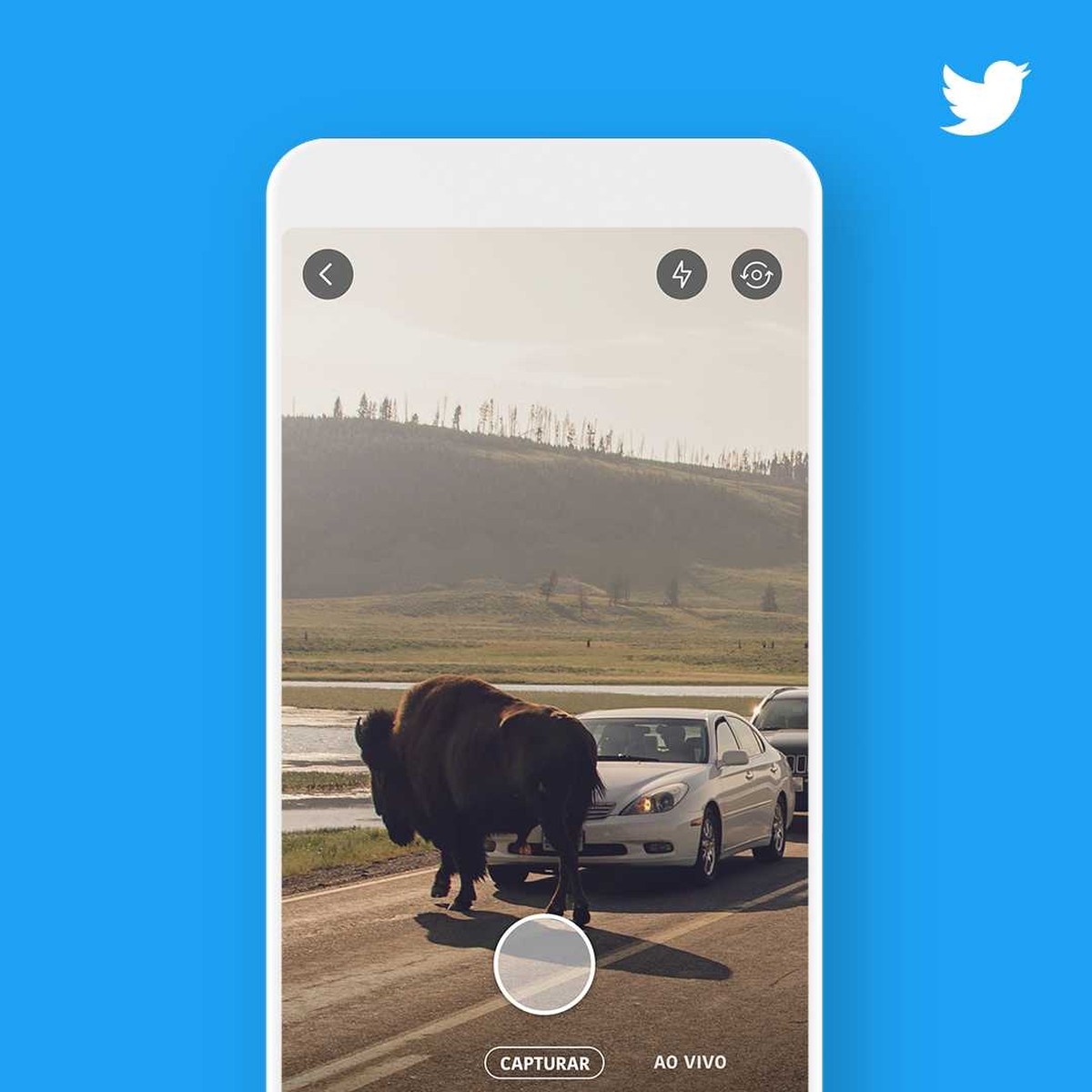 Nova função do Twitter permite postar fotos e vídeos direto da câmera