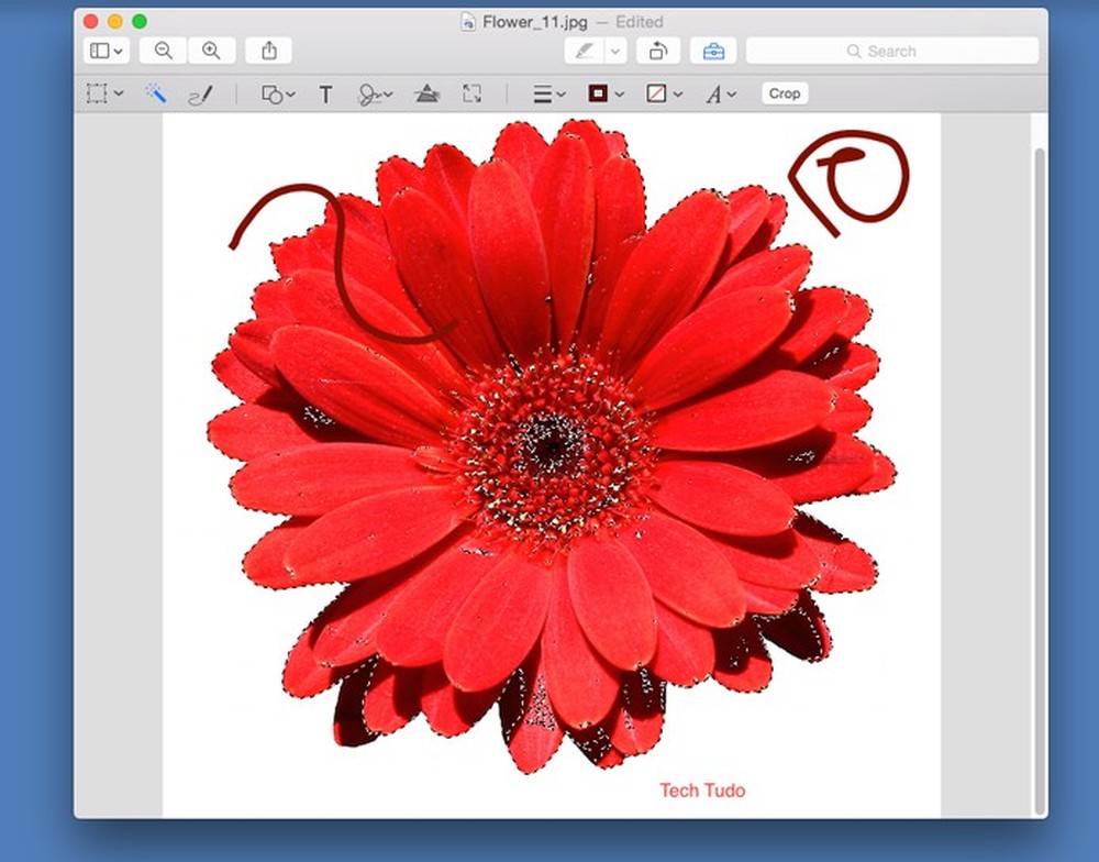 Computadores da Apple tem uma 'versão do Paint para Mac'; saiba encontrar
