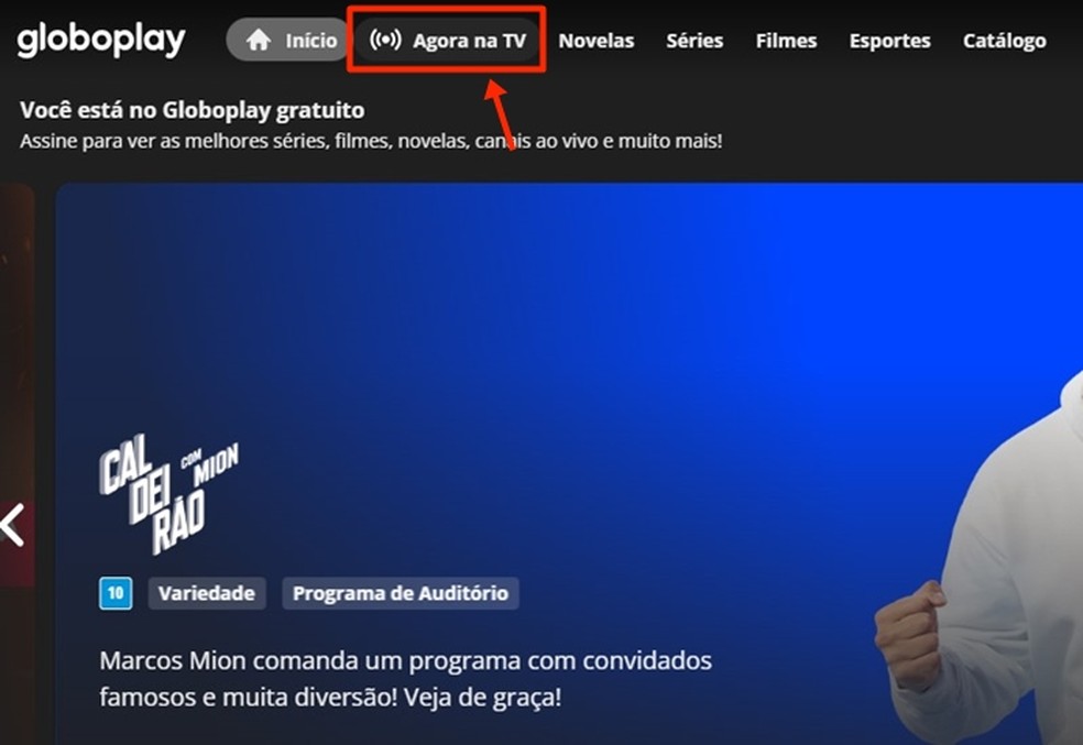 Campeonato Brasileiro: como assistir Flamengo x Palmeiras online
