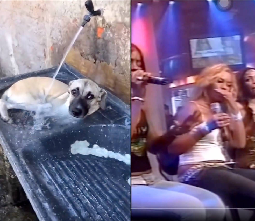  Reprodução/Redes Sociais